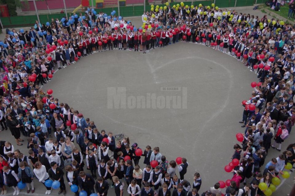 Activitati la Scoala Miron Costin Suceava