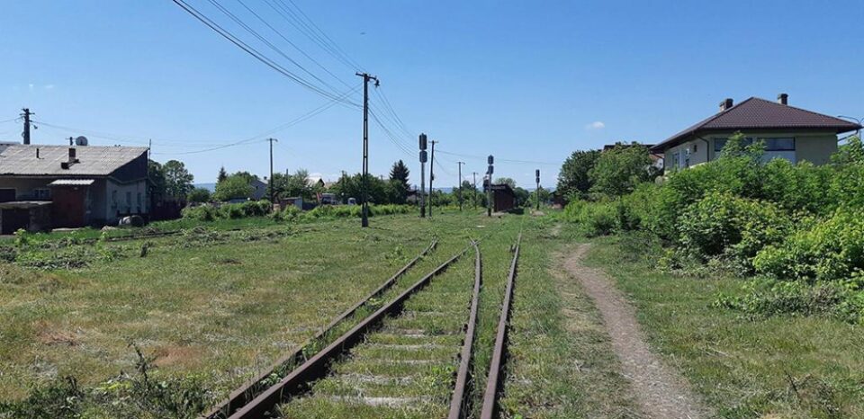 Linia de cale ferată a fost scoasă la „lumină” din vegetația abundentă. Foto: Facebook - Calea ferată Dornești-Putna