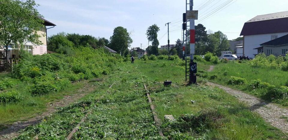 Linia de cale ferată a fost scoasă la „lumină” din vegetația abundentă. Foto: Facebook - Calea ferată Dornești-Putna