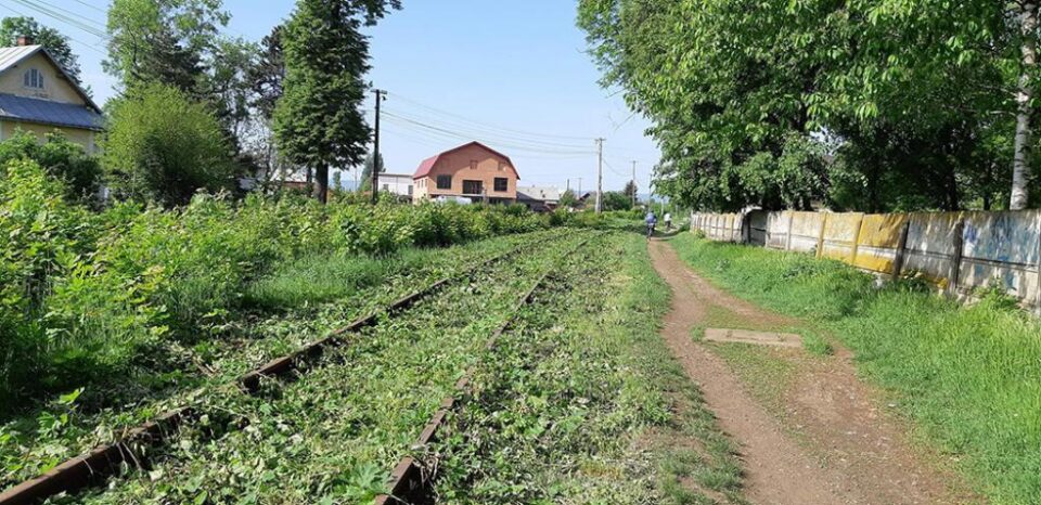 Linia de cale ferată a fost scoasă la „lumină” din vegetația abundentă. Foto: Facebook - Calea ferată Dornești-Putna