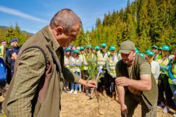 Aproape 600 de voluntari au plantat 6.340 de puieți de molid, brad și larice în Călimani