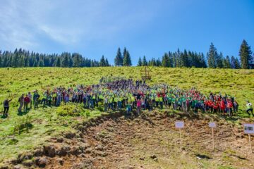 Aproape 600 de voluntari au plantat 6.340 de puieți de molid, brad și larice în Călimani