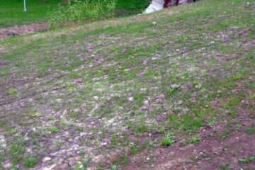 Fotografia 16