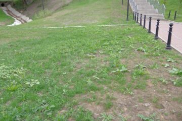 Fotografia 16