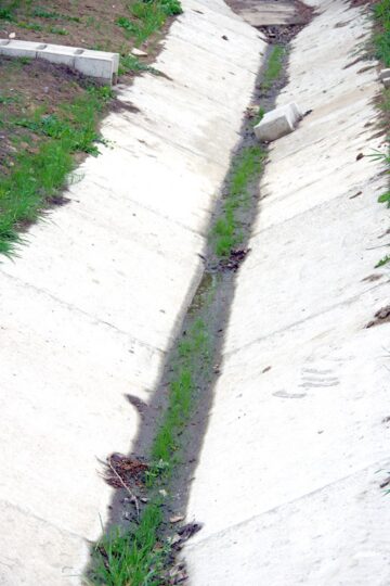 Fotografia 19
