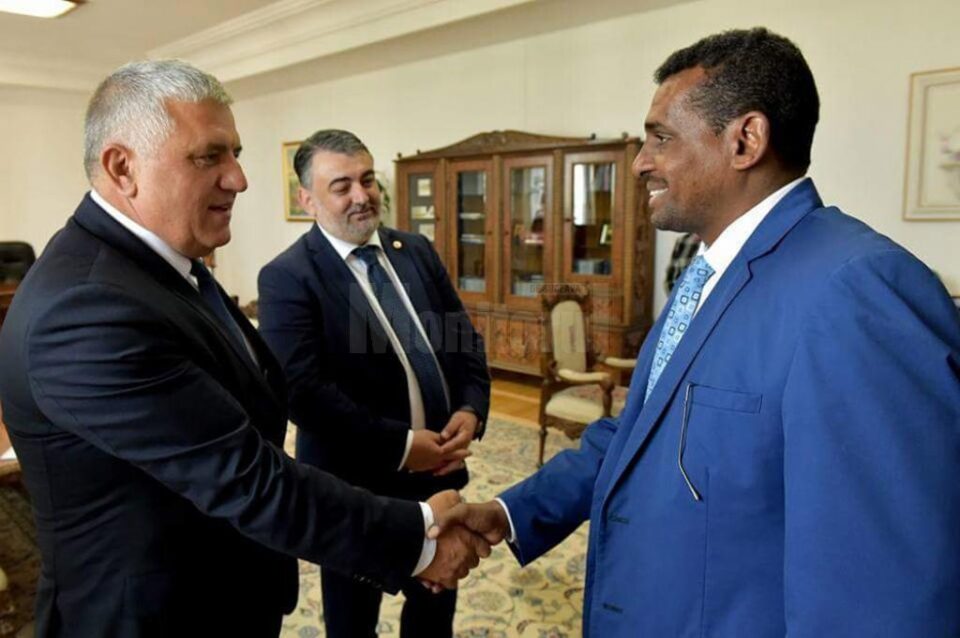 Dumitru Mihalescul a avut o întâlnire oficială cu reprezentanții Republicii Sudan la București