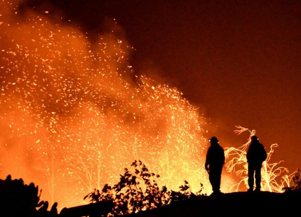 „Foc în pădure”