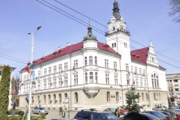 Consiliul Județean Suceava va construi o poartă de intrare în județul Suceava pe DN 17, în pasul Tihuța