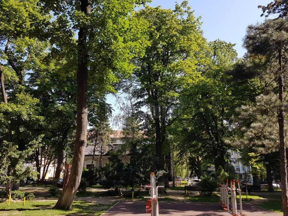 Parcul Central al Sucevei se numără printre principalele obiective ale operațiunii de demolare a cuiburilor de ciori