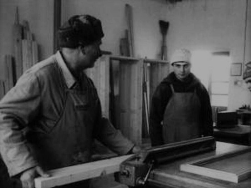 „Fabrica de binale din Frasin”