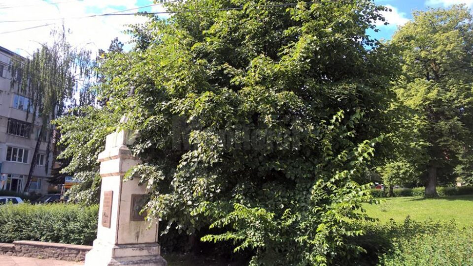 Bustul poetului arată jalnic și, mai nou, nici nu prea se mai vede