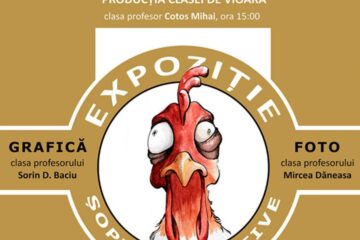 Spectacol al elevilor Școlii de Arte „Ion Irimescu”, luni, la Muzeul de Istorie