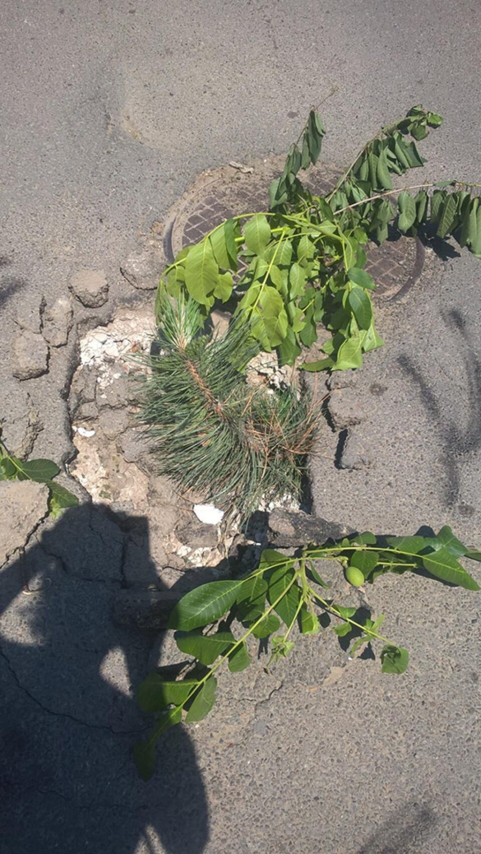 Groapa capcană apărută în mijlocul străzii