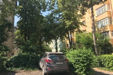 PSD anunță că va vota pentru reabilitarea a 238 de parcări, din cele 342 propuse de Harșovschi, în municipiul Suceava