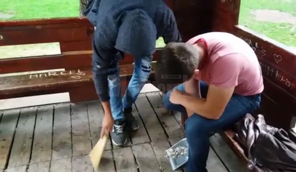 Tineri care au făcut mizerie pe spațiul public, puși să facă curat, de Poliția Locală Suceava Tineri care au făcut mizerie pe spațiul public, puși să facă curat, de Poliția Locală Suceava