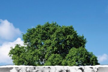 Lupta dintre bine și rău se dă pentru sufletul fiecărui om
