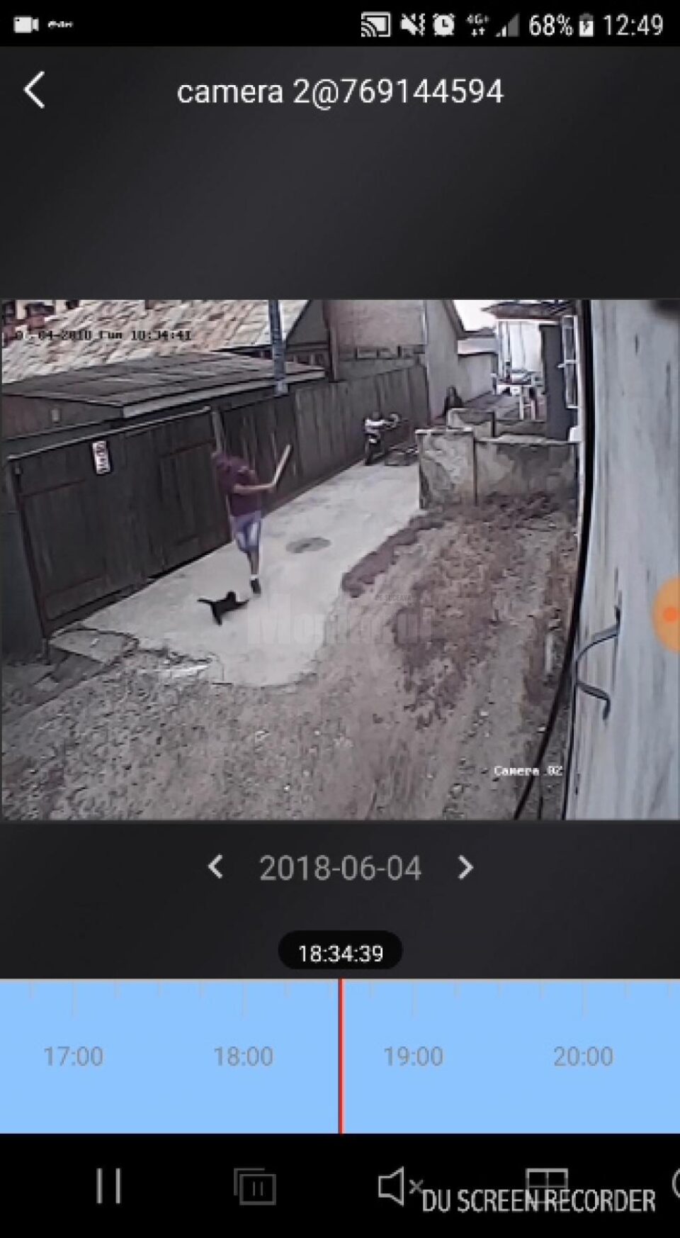 Pisică omorâtă cu bâta, de un individ periculos, în cartierul Burdujeni