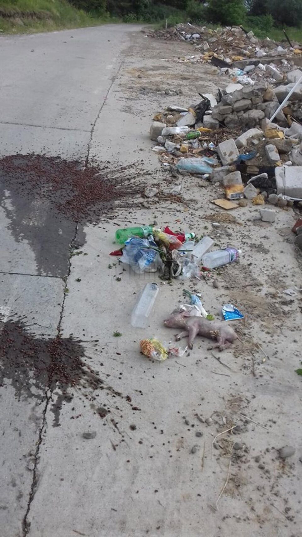 Zona Crușini - Remezău, din comuna Vicovu de Jos, unde mai multe persoane au aruncat, fără nici o jenă, la marginea unui drum, gunoi menajer
