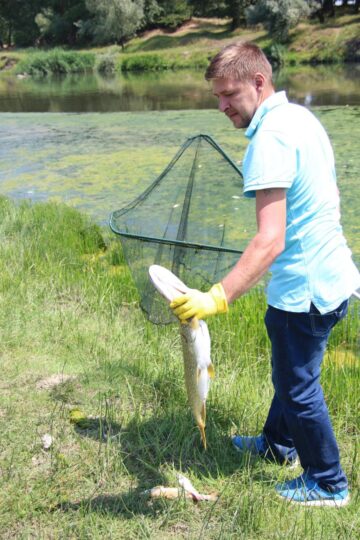 Au fost găsite și știuci de dimensiuni mai mari, 3-4 kilograme