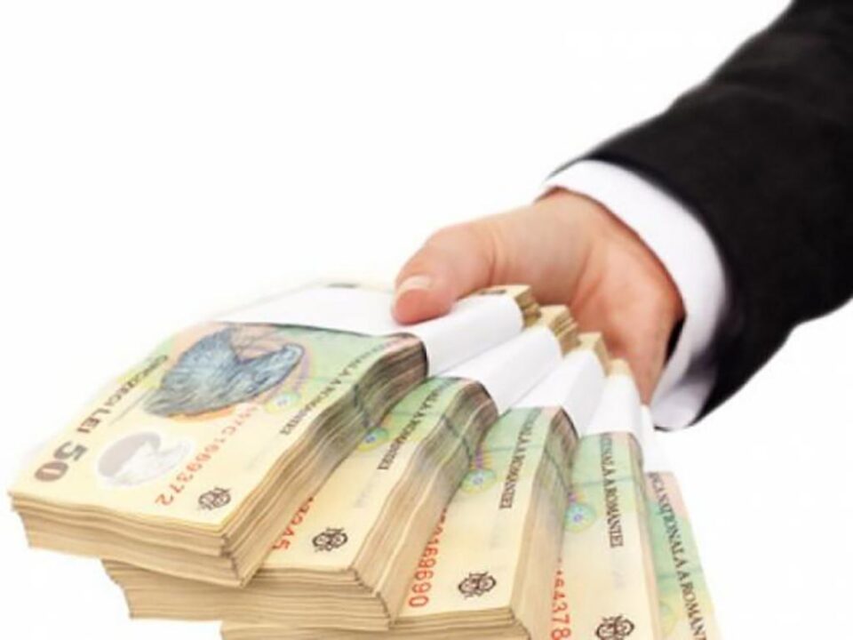 Instanța a mai decis să-i oblige pe cei trei și la plata unei sume de peste 280.000 de lei către Direcția Silvică Suceava. Foto: miscareade rezistenta.ro Instanța a mai decis să-i oblige pe cei trei și la plata unei sume de peste 280.000 de lei către Direcția Silvică Suceava. Foto: miscareade rezistenta.ro