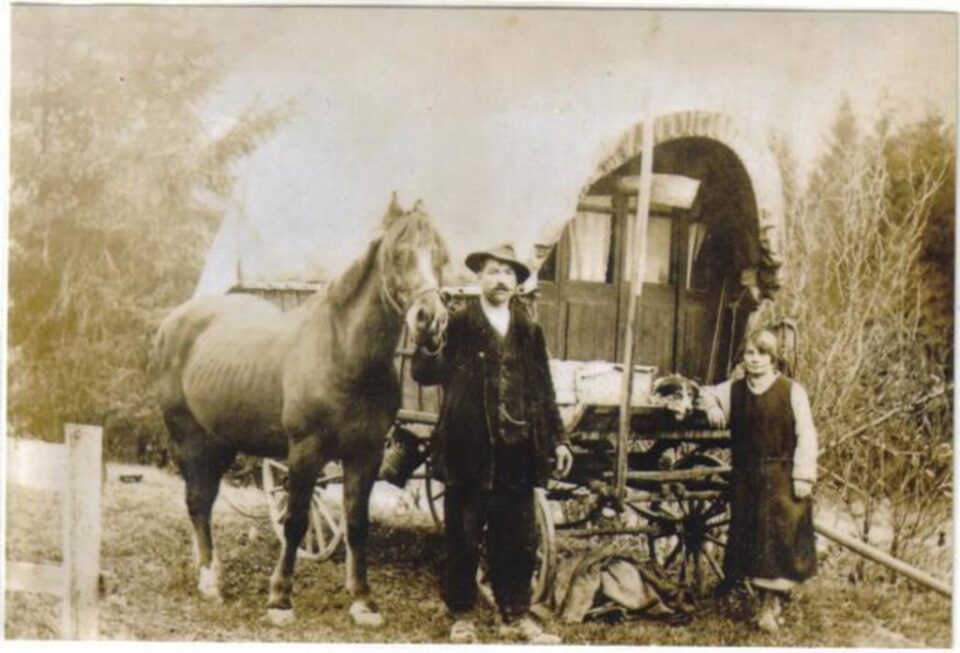 „Țiganii din Bucovina”