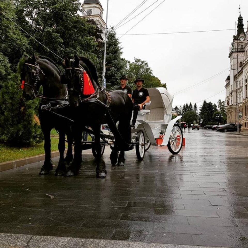 Caii și trăsura de la Domeniul Cailor FOTO Facebook - Domeniul Cailor