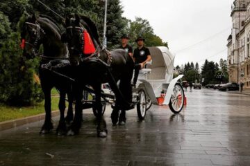 Caii și trăsura de la Domeniul Cailor FOTO Facebook - Domeniul Cailor