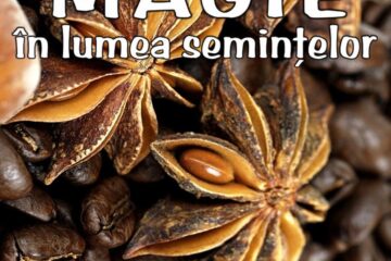 Expoziția temporară intitulată „Magie în lumea semințelor”, la Muzeul de Științele Naturii