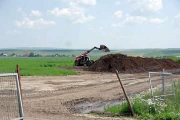 Câteva sute de pești morți, din cauze încă necunoscute, în iazul unui sucevean din Vornicenii Mici