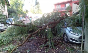 Fenomene meteo extreme au fost resimțite luni seara în municipiul Suceava