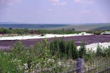 Câteva sute de pești morți, din cauze încă necunoscute, în iazul unui sucevean din Vornicenii Mici