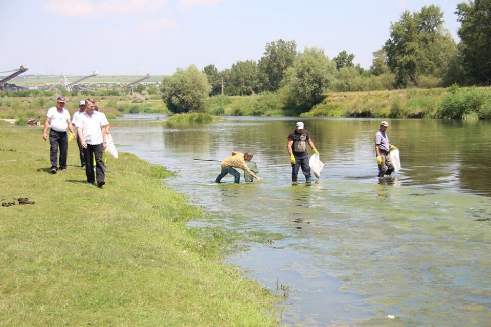 Poluarea provocată de ACET a provocat mortalitate piscicolă pe râul Suceava