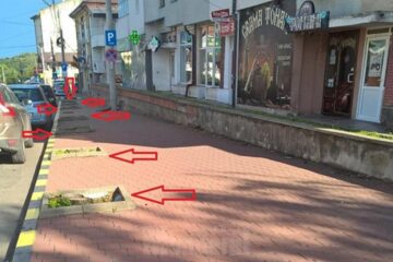 Cușnir prezintă defrișările din oraș