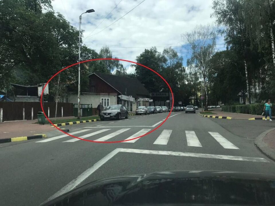 Primarul Ion Lungu, acuzat că face defrișări după bunul plac în municipiul Suceava