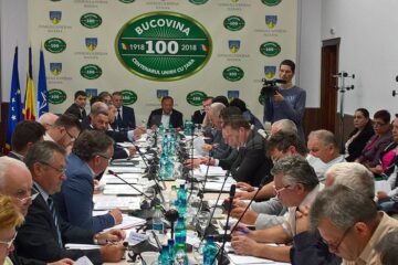 Ședința Consiliului Județean din 28 iunie 2018