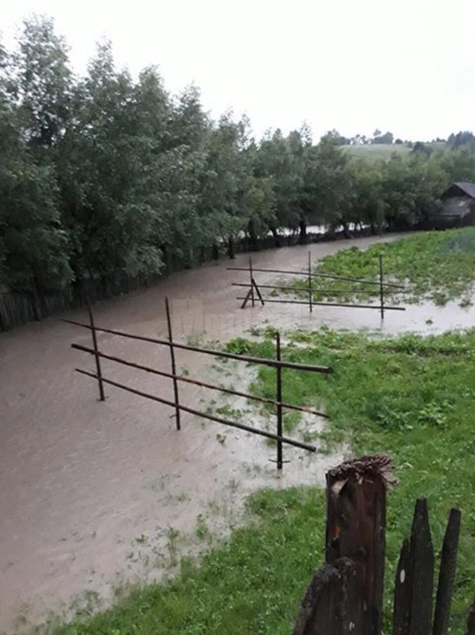 Avarii la rețele electrice și curți inundate, după ploile de joi noaptea