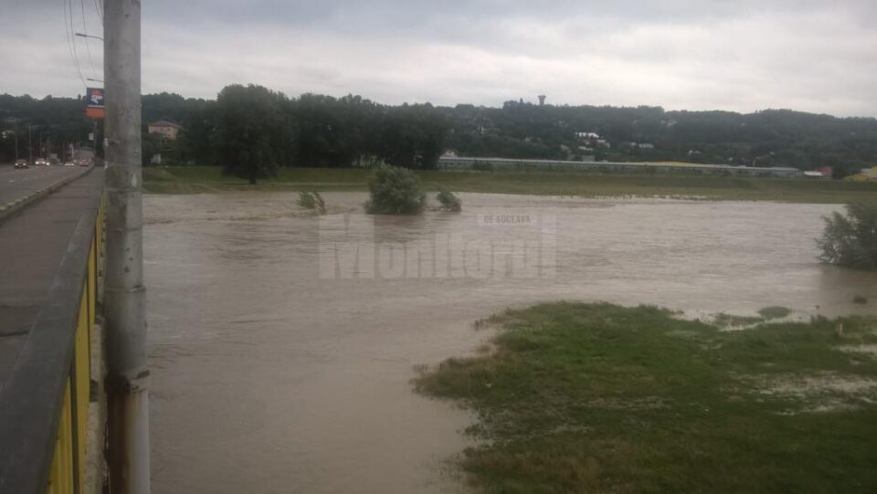 Râul Suceava, în municipiul Suceava