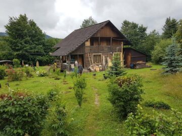 Tabăra de pictură din Poiana Dacilor, promotor al Bucovinei în întreaga țară