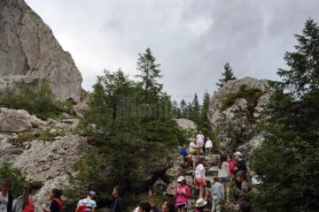 Aproape 50 de școli de vară instructive și relaxante, pe teme variate, pentru elevii suceveni