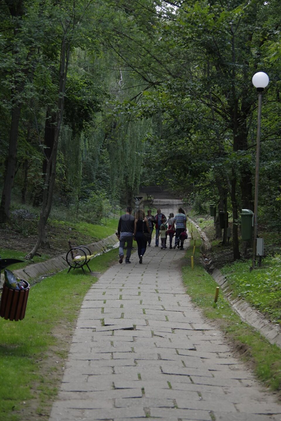 Primarul Sucevei, bucuros că parcul Șipote și pădurea Zamca vor putea fi amenajate ca zone de agrement