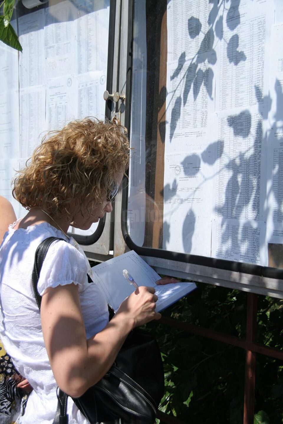 718 de candidați vor o carieră didactică și s-au înscris pentru a susține concursul de titularizare 718 de candidați vor o carieră didactică și s-au înscris pentru a susține concursul de titularizare