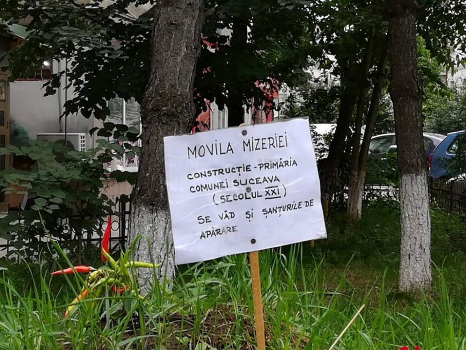 Monument al indolenței” ridicat pe mormântul neputinței, dedicat Primăriei Suceava