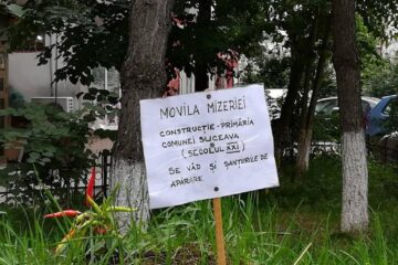 Monument al indolenței” ridicat pe mormântul neputinței, dedicat Primăriei Suceava