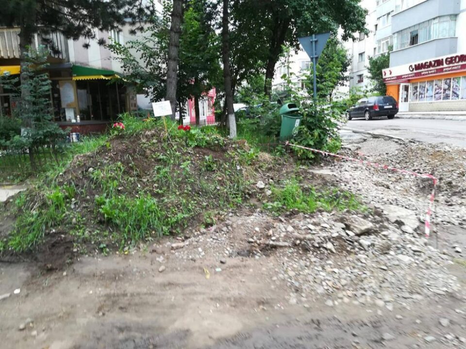 Monument al indolenței” ridicat pe mormântul neputinței, dedicat Primăriei Suceava