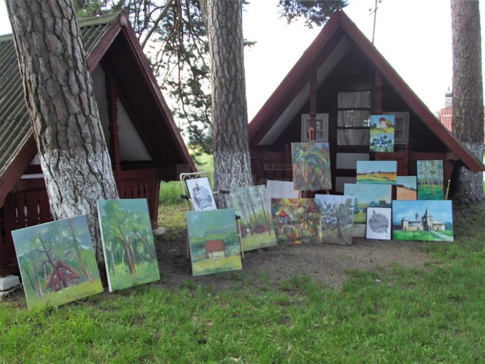 Tabăra de artă plastică „Țara Fagilor”