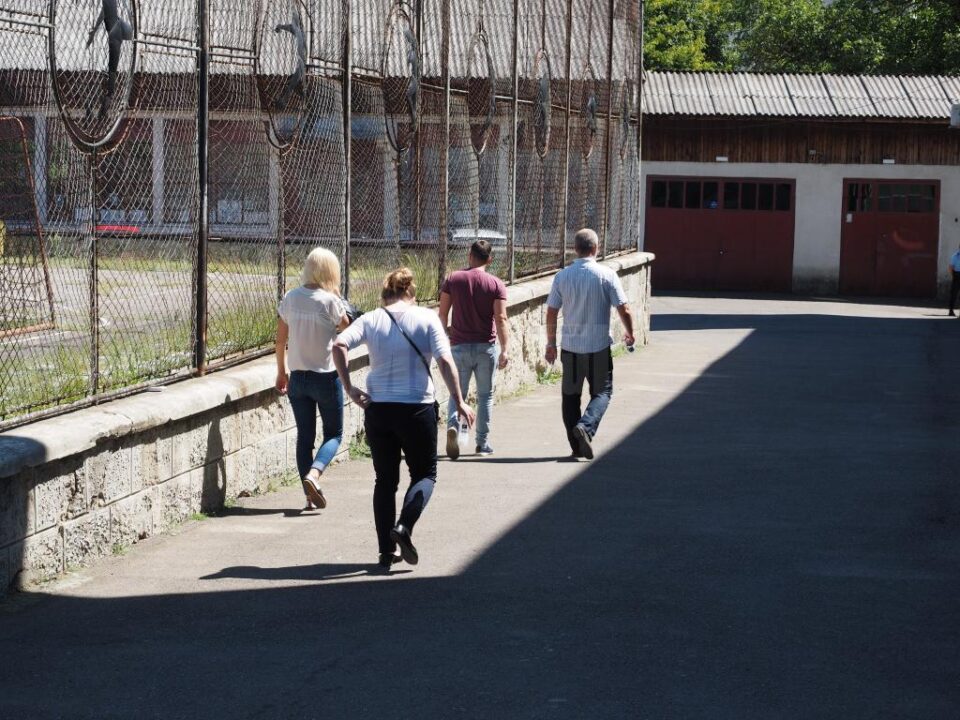 30 de candidați au absentat, iar alți 20 s-au retras de la examenul de definitivat