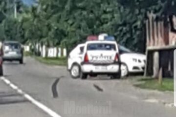 Mașina poliției a intrat violent într-un autoturism Seat al cărui șofer nu i-a acordat prioritate