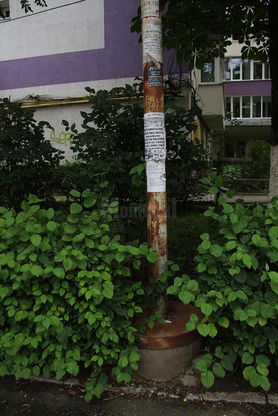 Coșurile de gunoi stradale au dispărut total de pe strada 6 Noiembrie