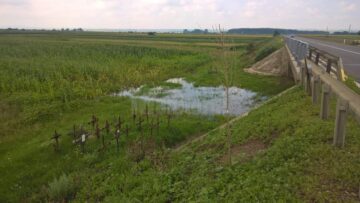 Crucile au rămas astăzi ca o mărturie a accidentului grav din vara anului 1980