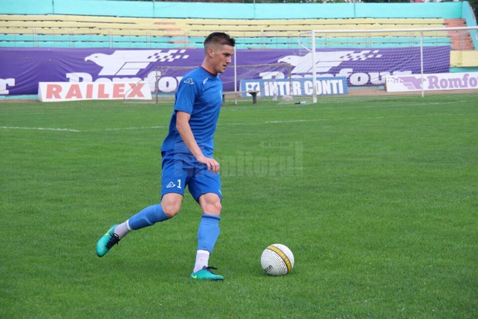Stejărel Vișinar
